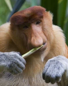 hunterkirk.livejournal.com