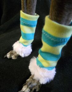 spoiledbratzwear.mysupadupa.com