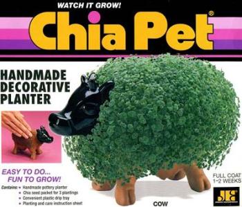 chia-cow