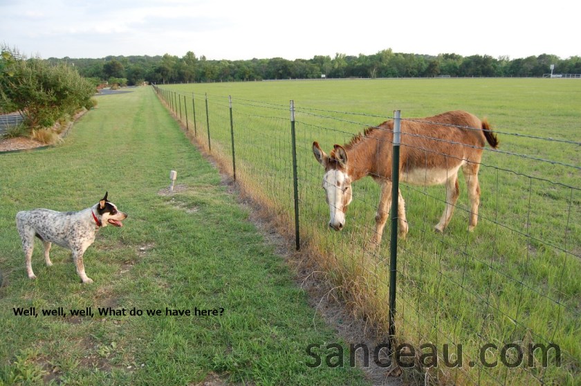 Pictures at church 111