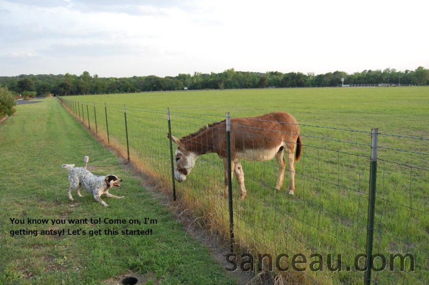 Pictures at church 311