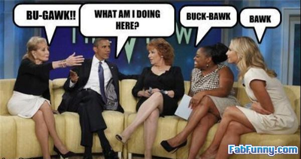 funny-celebrity-pictures-bawk-bawk