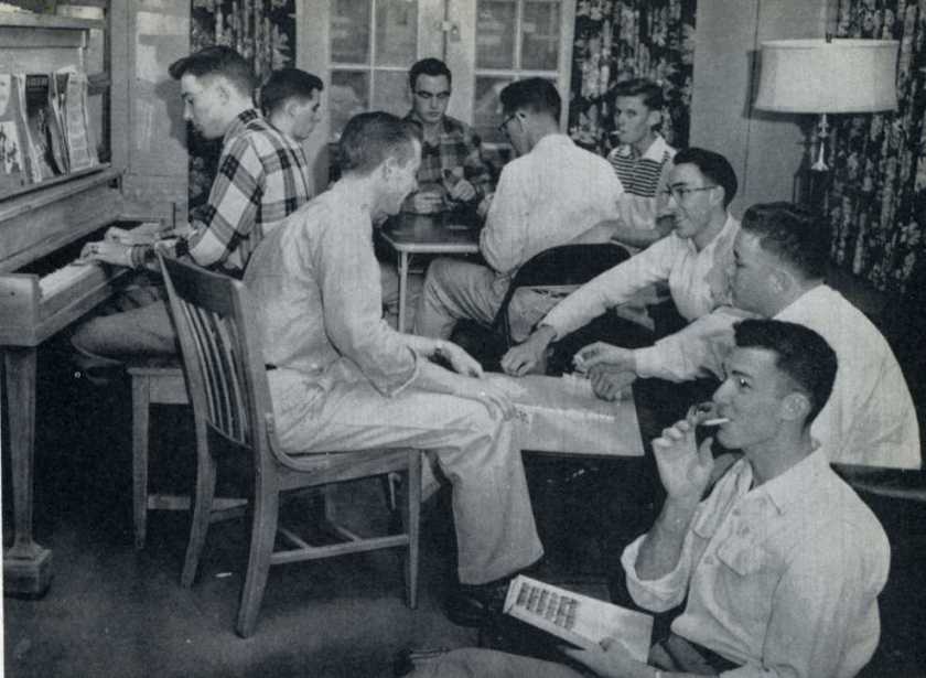 Cactus55MembersOfAcacia