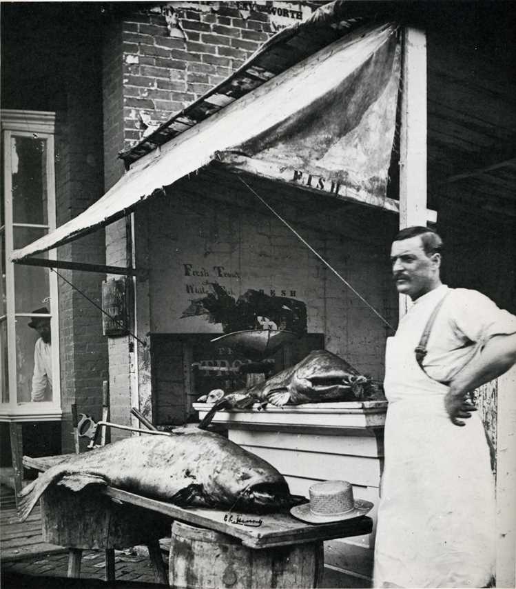 Missour River catfish caught near Leavenworth, brought to Dustin Brothers Fish Market on Shawnee Street