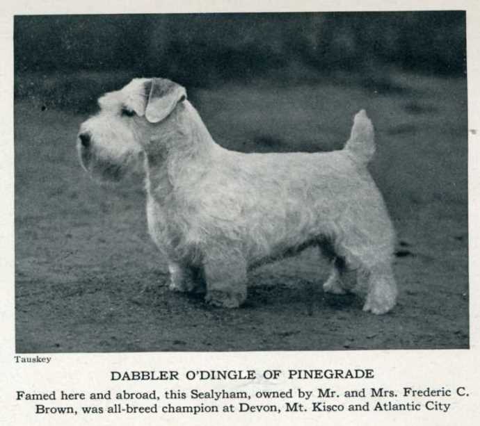 Sep 1932, Spur magazine