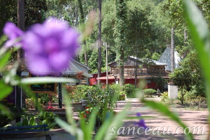 Myrtle Beach Day III 026