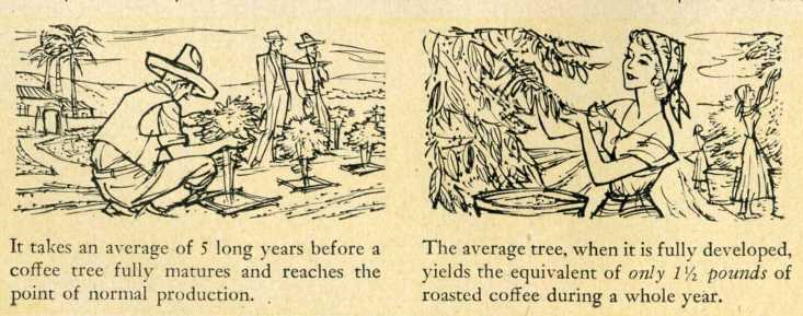 LifeApril51Coffee-006