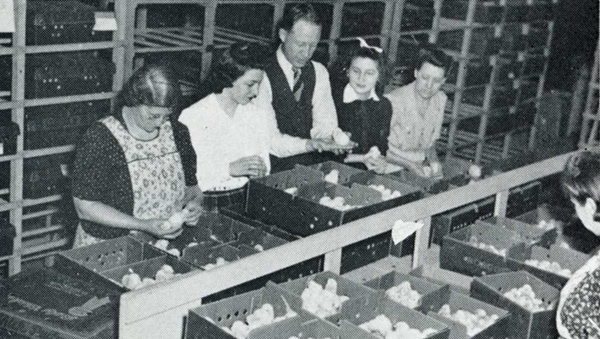 Rocket43-HillHatchery