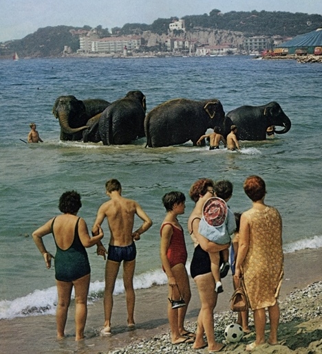 Nat'l Geographic June '67