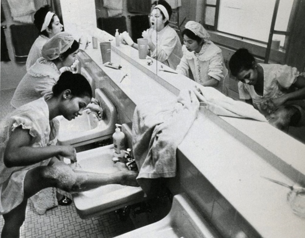 1984 Cactus by Carrie Robertson