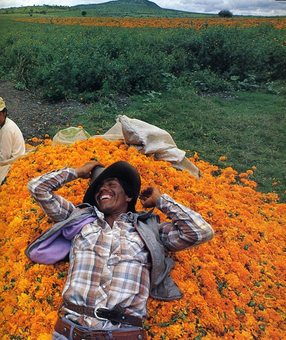 photo by Danny Lehman, "Then and Now"