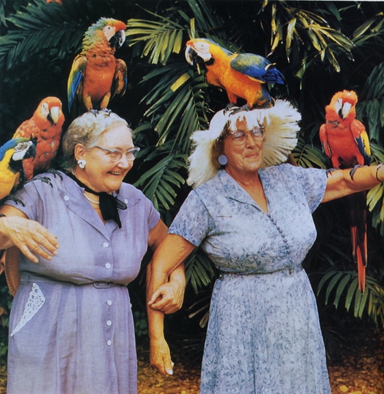 The Joy of Life by Kunhardt