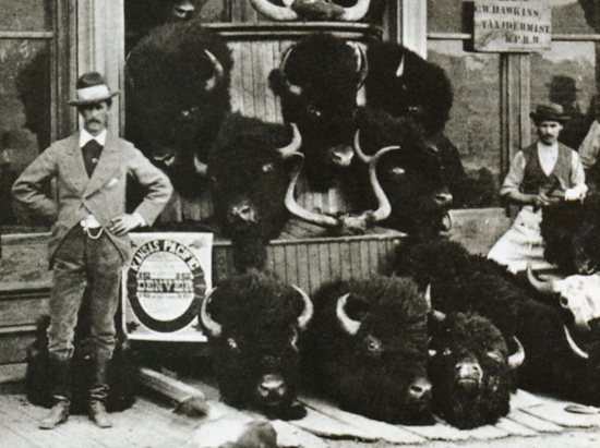 Railroads in America by Jensen