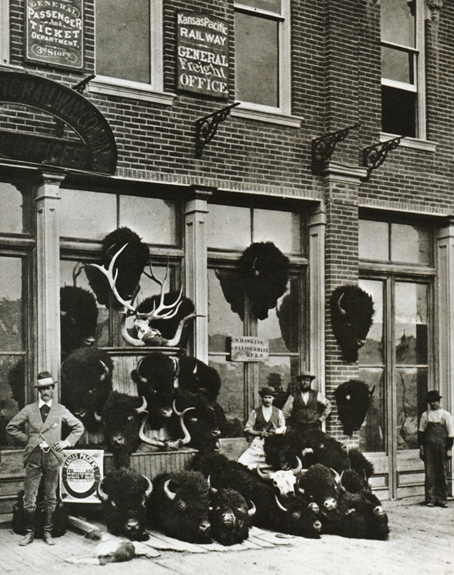 railroadsinambericabuffalo