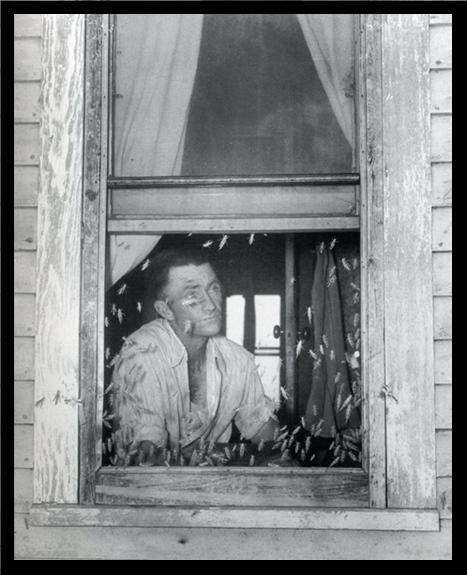 The Dust Bowl by Duncan & Burns