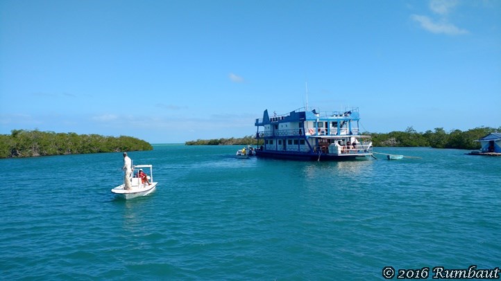 mangroves-where-we-snorkeled-with-crocodiles