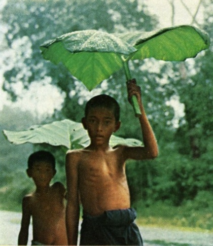 natlgeojuly67-betongmonsoon010