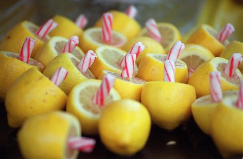 lemon-sticks-a-flowermart