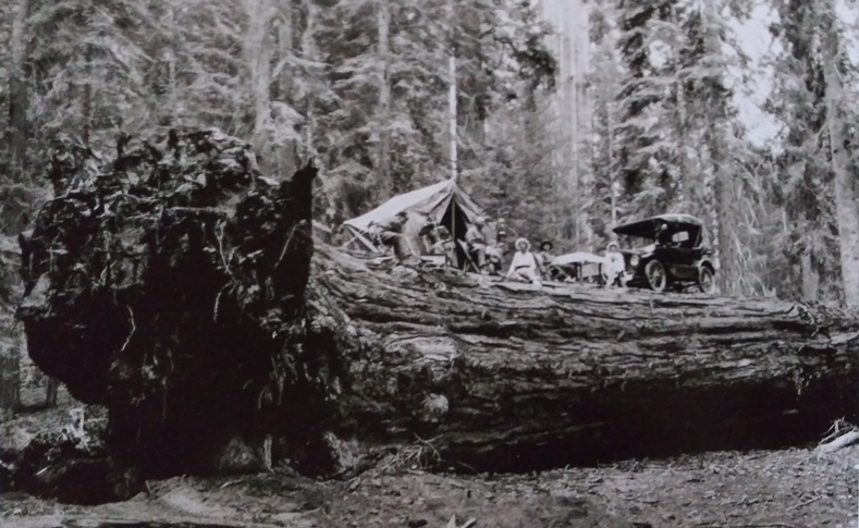 Jan 1917 National Geographic